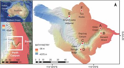 First ROV Exploration of the Perth Canyon: Canyon Setting, Faunal Observations, and Anthropogenic Impacts